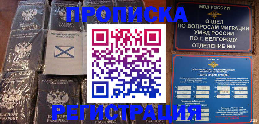 прописка гарантия в Николаевске